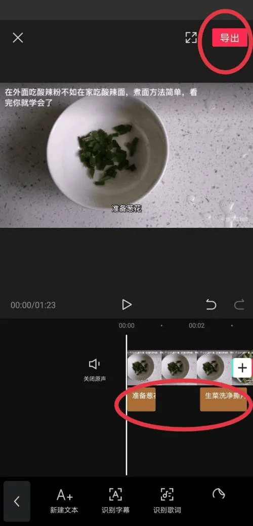 图片[6]-剪映怎么根据视频声音自动匹配字幕？-UI素材库
